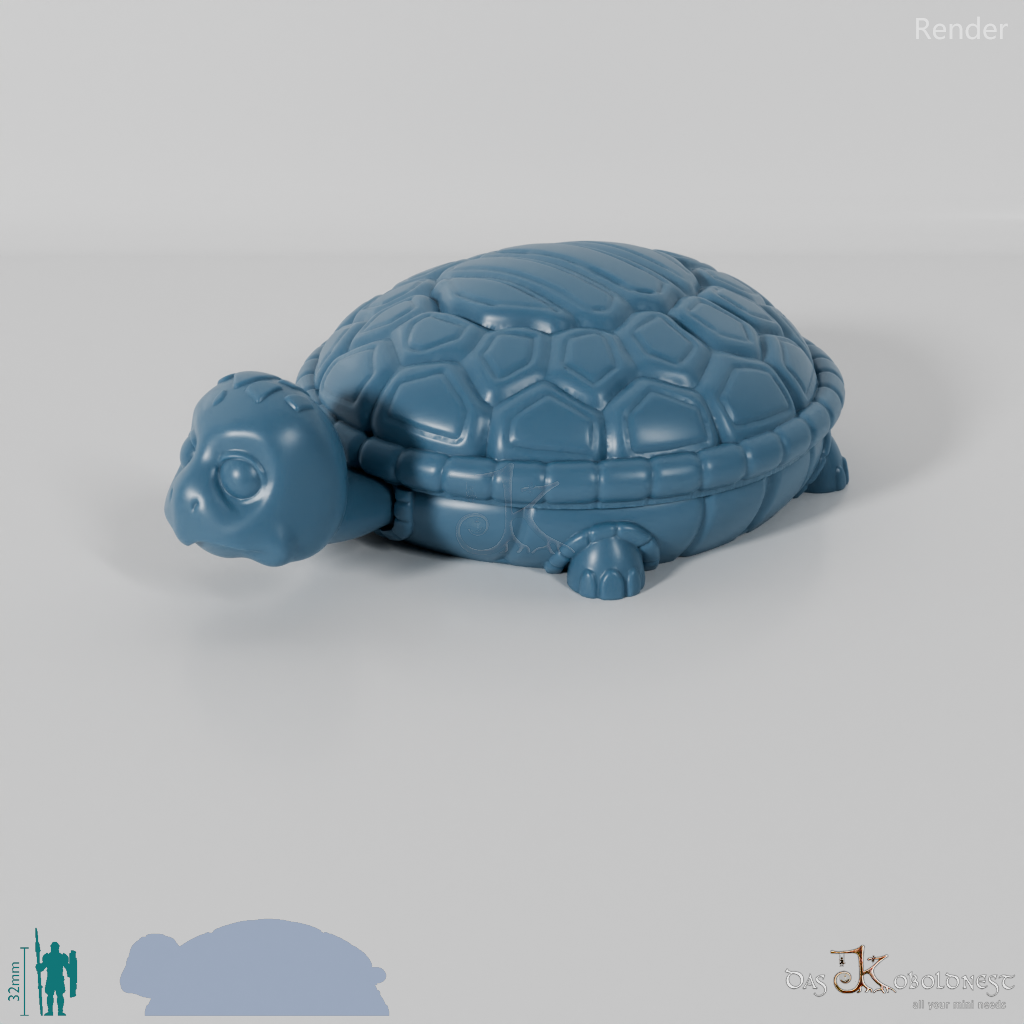 Würfelbox - Schildkröte