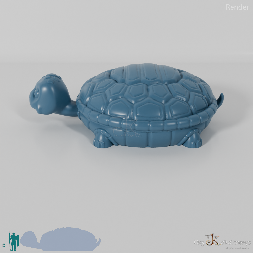 Würfelbox - Schildkröte