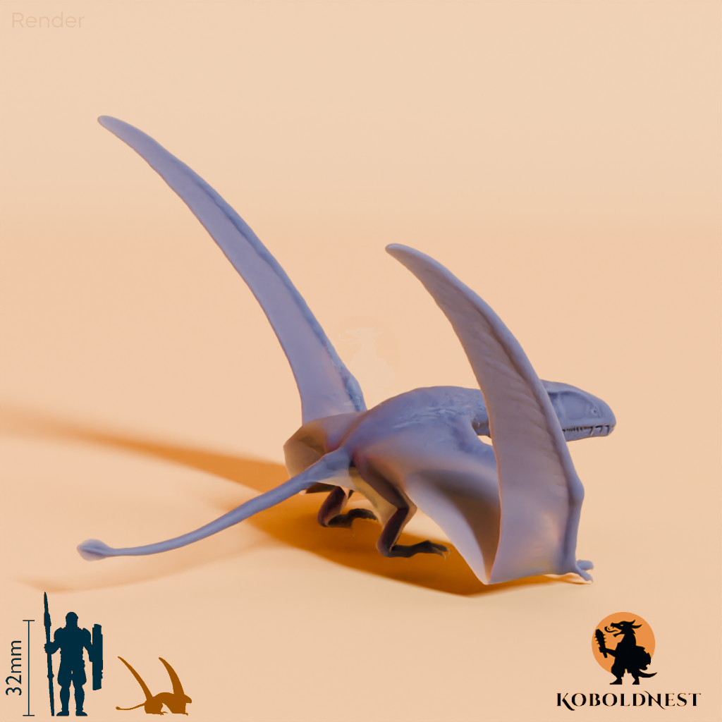 Dimorphodon macronyx 03