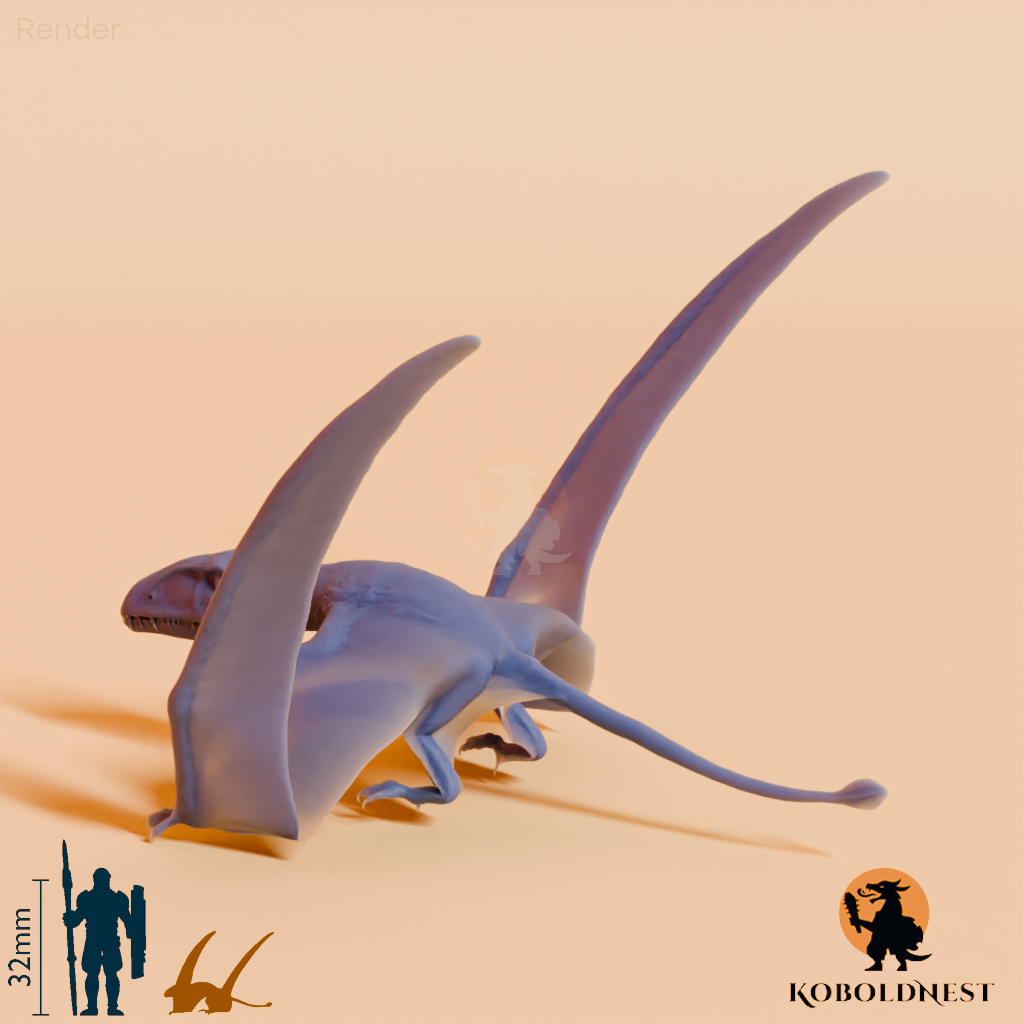 Dimorphodon macronyx 03