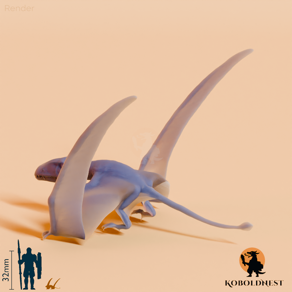 Dimorphodon macronyx 03