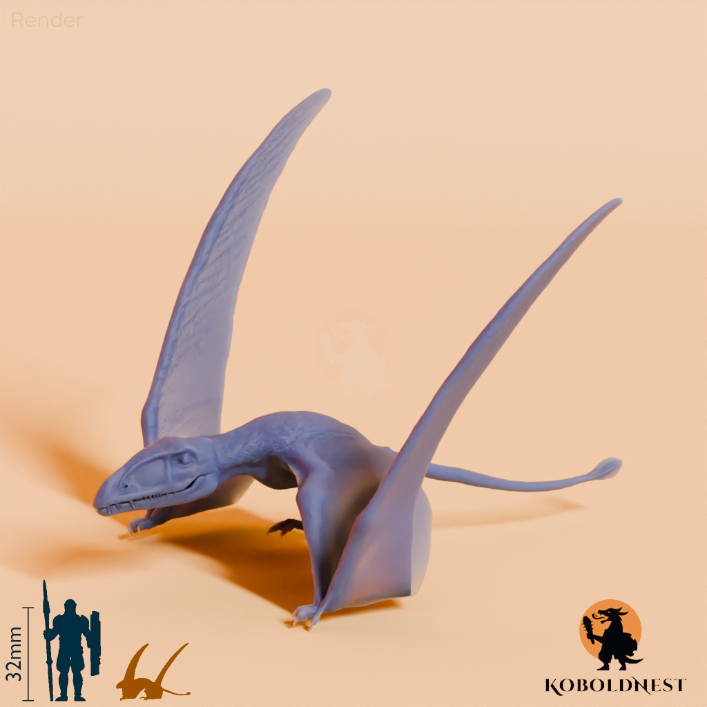 Dimorphodon macronyx 03