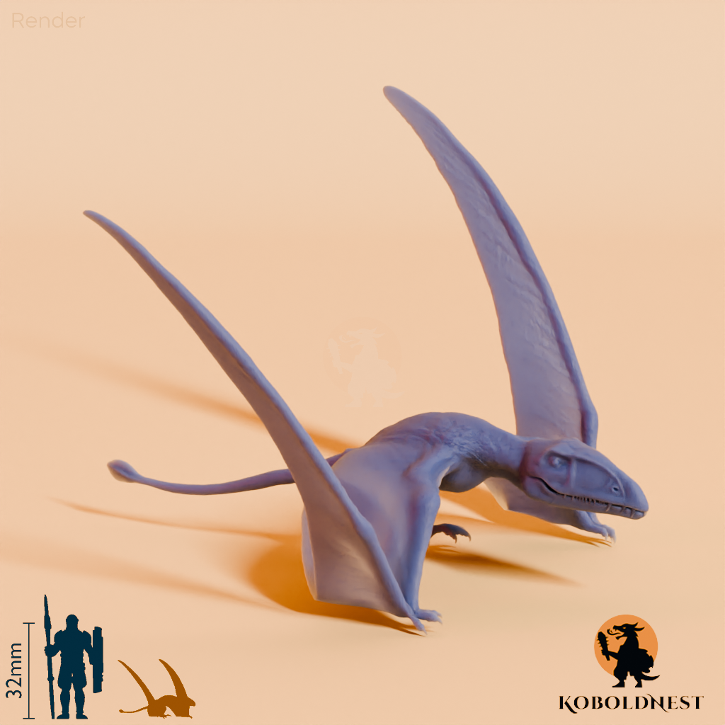 Dimorphodon macronyx 03
