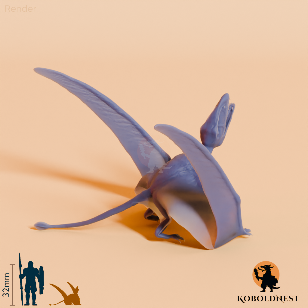 Dimorphodon macronyx 04