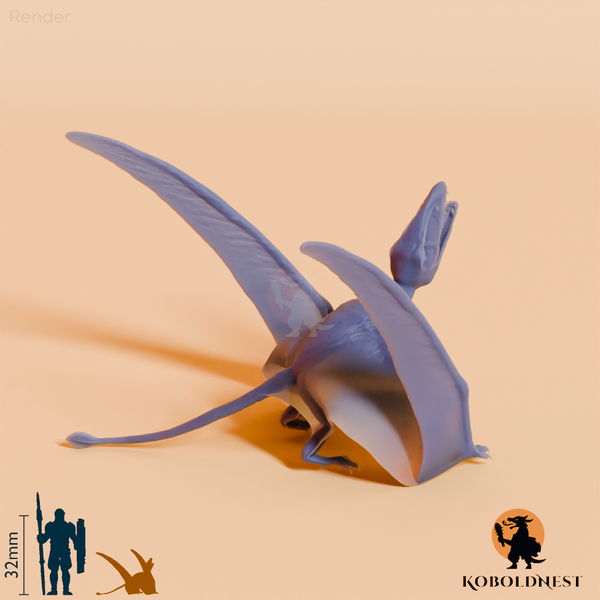 Dimorphodon macronyx 04