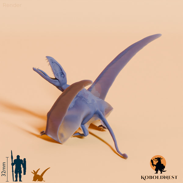 Dimorphodon macronyx 04