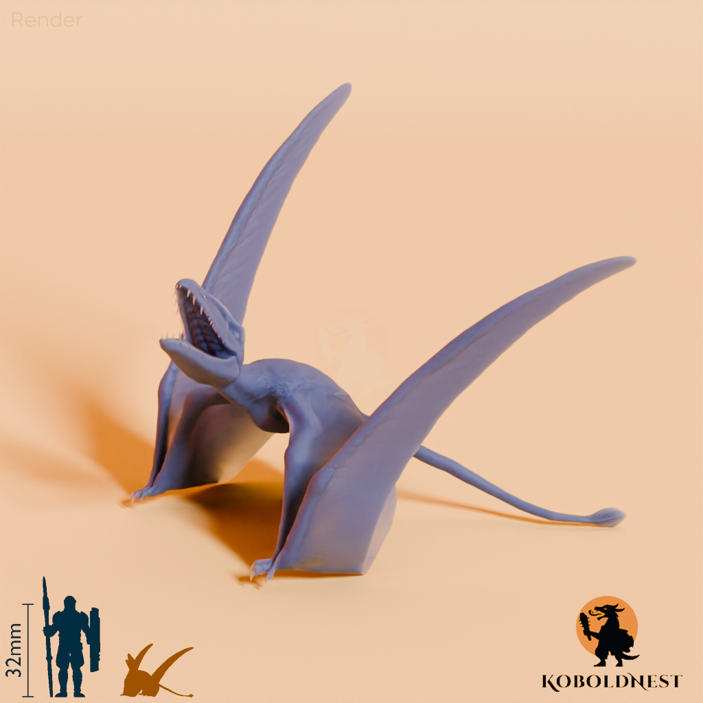 Dimorphodon macronyx 04