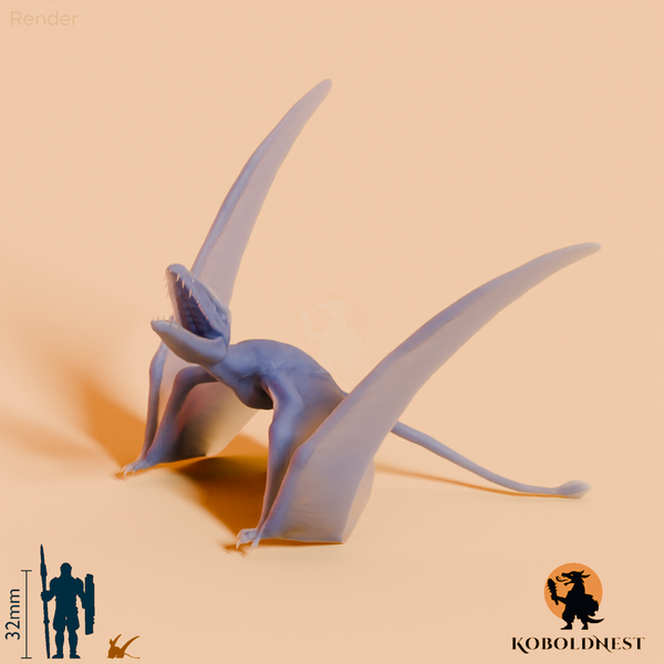 Dimorphodon macronyx 04