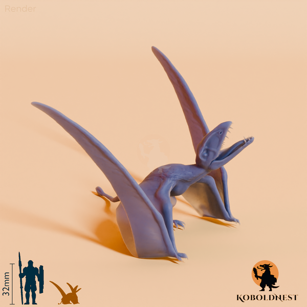 Dimorphodon macronyx 04