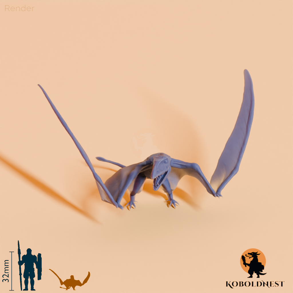 Dimorphodon macronyx 05