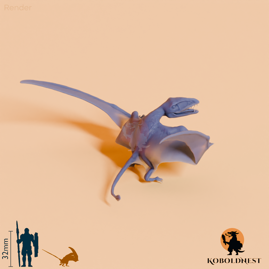 Dimorphodon macronyx 05