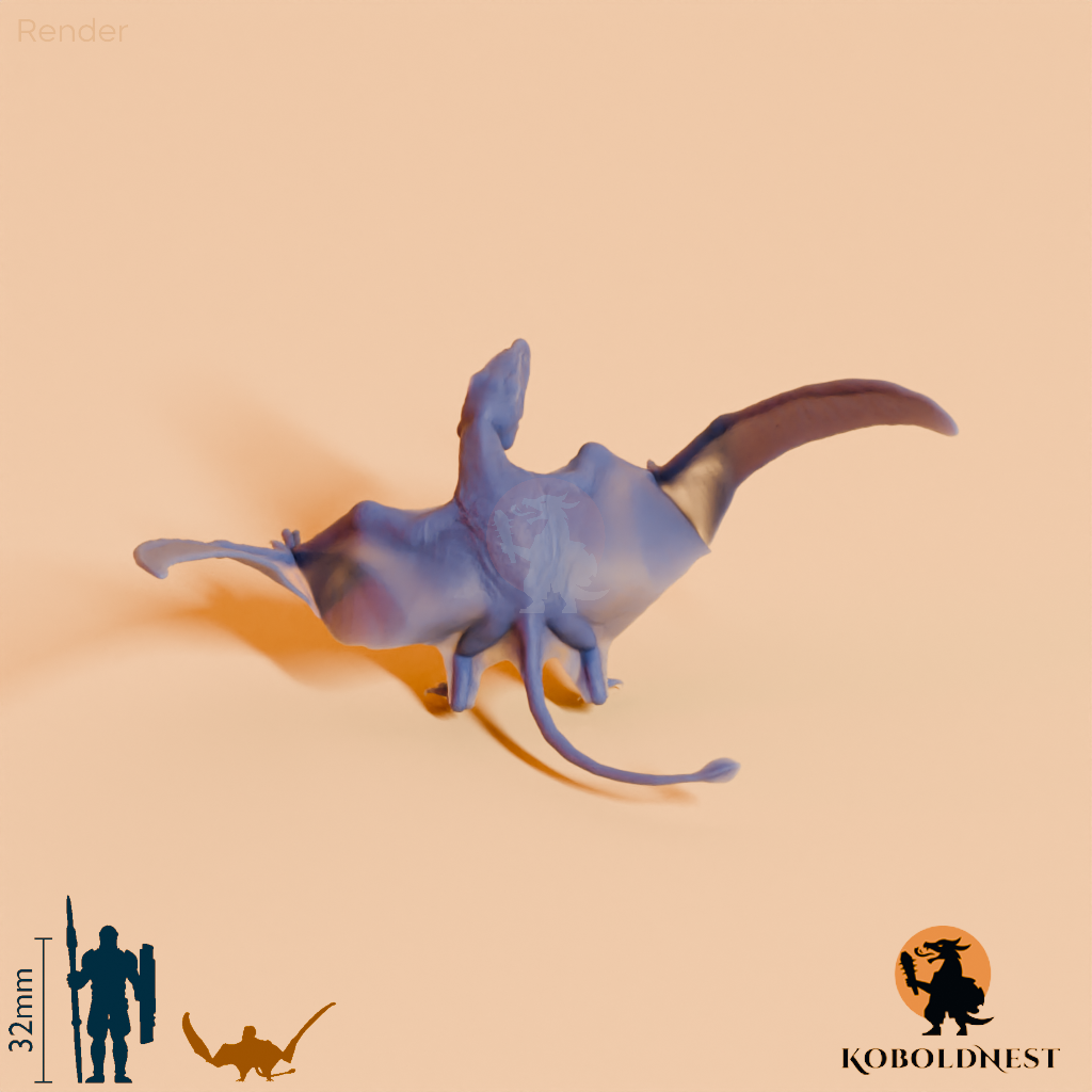 Dimorphodon macronyx 05