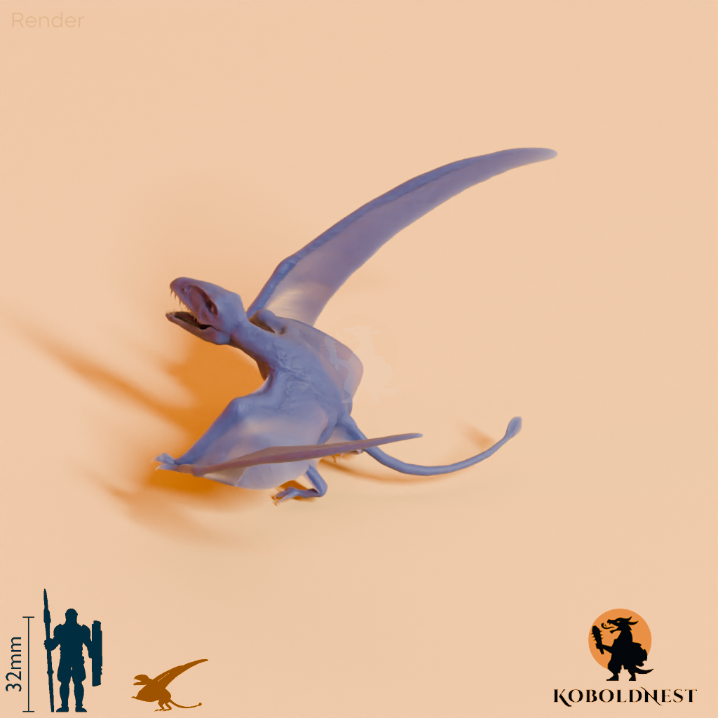 Dimorphodon macronyx 05