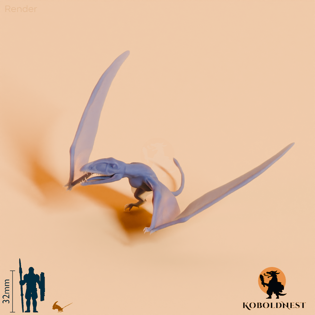 Dimorphodon macronyx 05