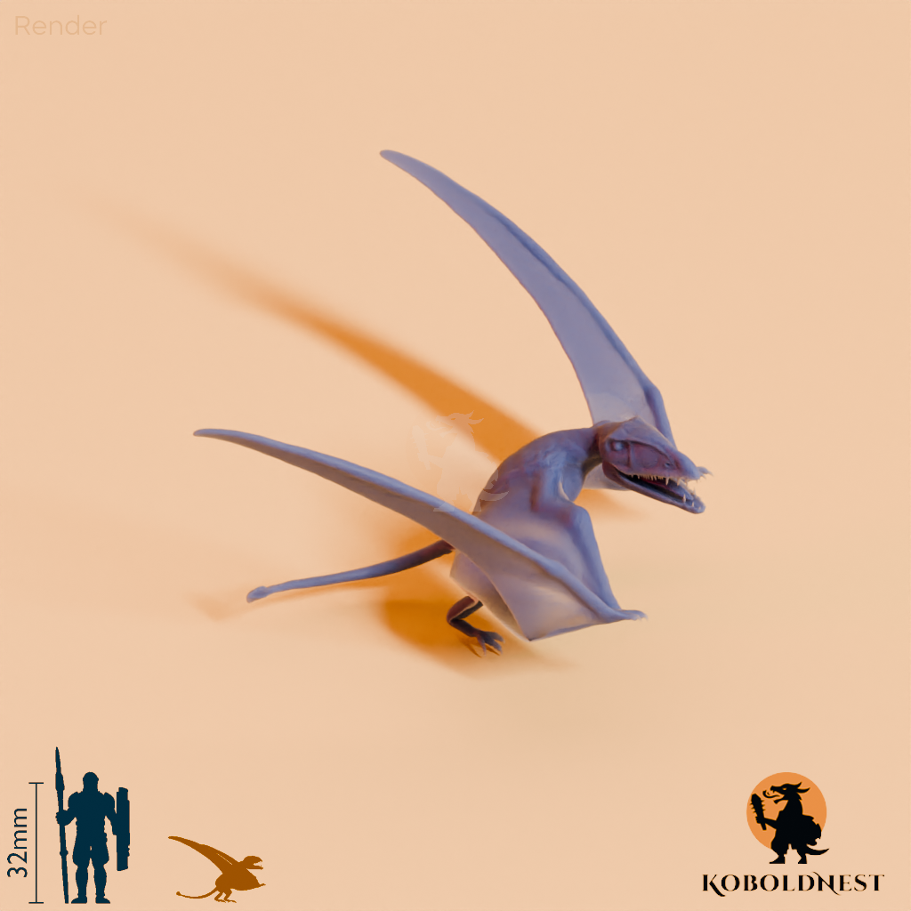 Dimorphodon macronyx 05