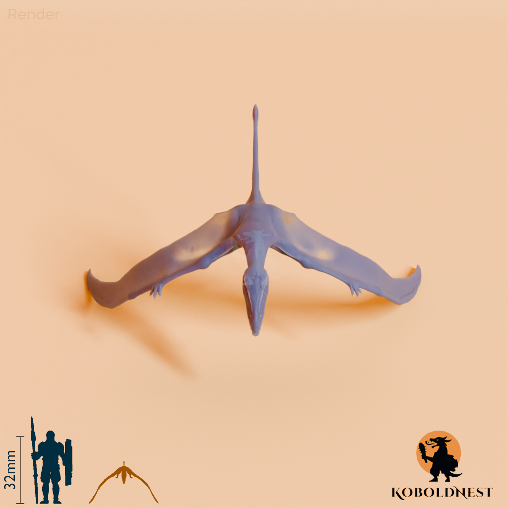 Dimorphodon macronyx 06