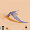 Dimorphodon macronyx 06
