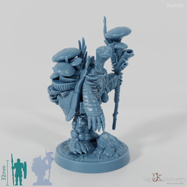 Doc Rooney, Turtlefolk Druid