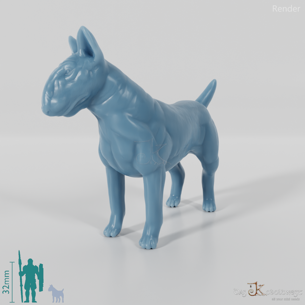 Dog - Bull Terrier 01