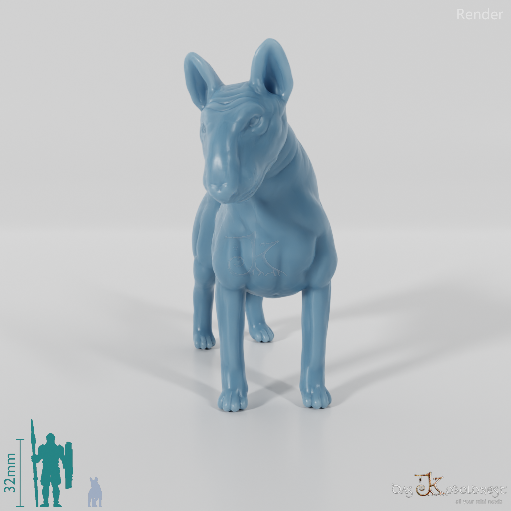 Dog - Bull Terrier 01