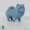 Dog - Chow Chow 01