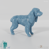 Dog - Cocker Spaniel 01