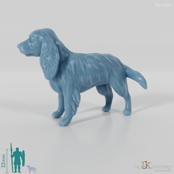 Hund - Cocker Spaniel 01
