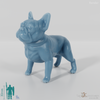 Dog - French Bulldog 01