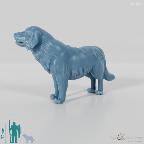 Dog - Golden Retriever 01