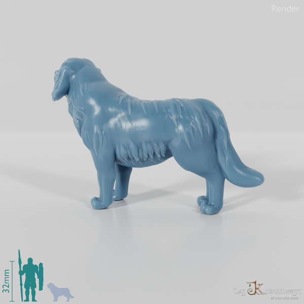 Dog - Golden Retriever 01