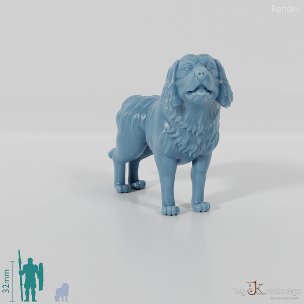 Dog - Golden Retriever 01