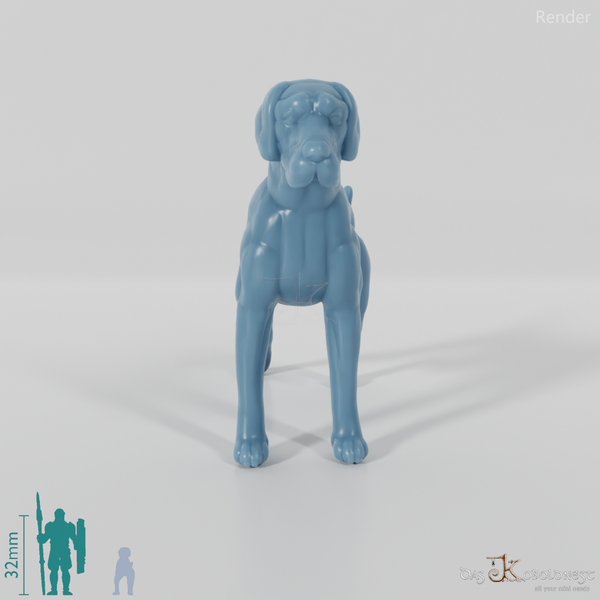 Hund - Deutsche Dogge 01