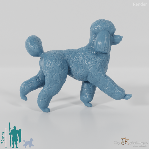 Dog - Poodle 02