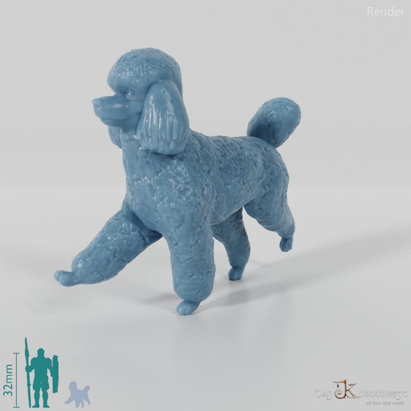 Dog - Poodle 02