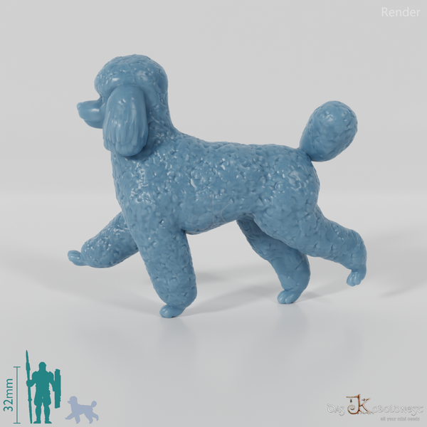 Dog - Poodle 02