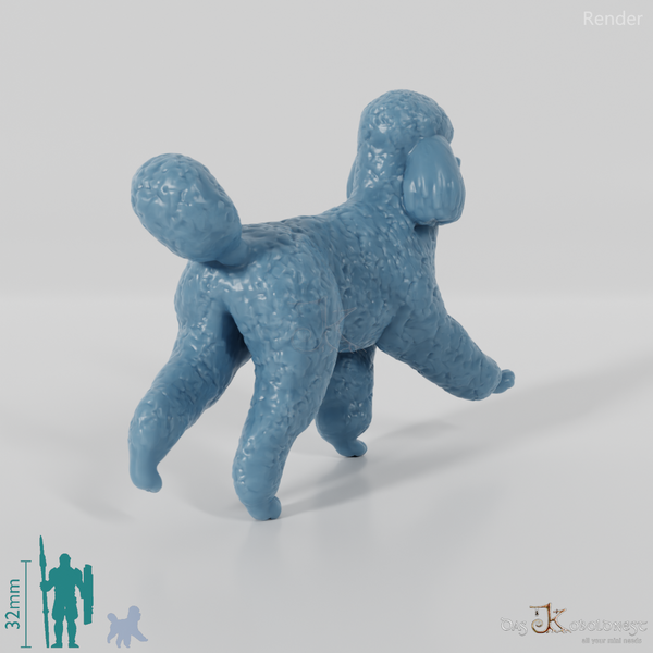 Dog - Poodle 02
