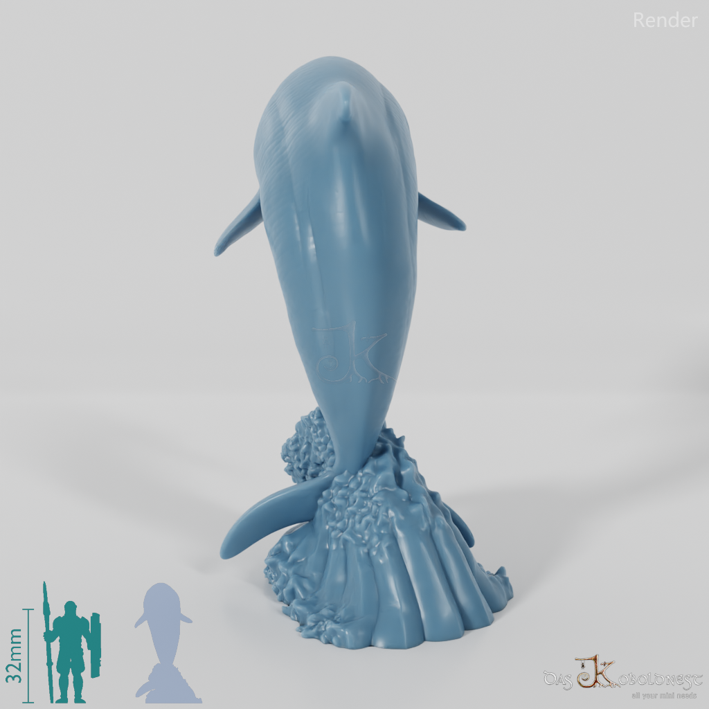 Dolphin - Dolphin 03