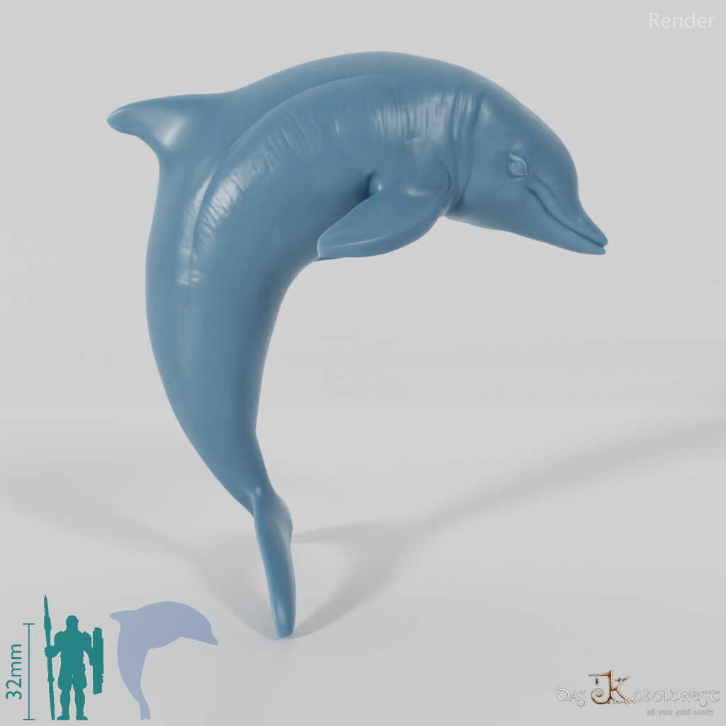 Dolphin - Dolphin 03