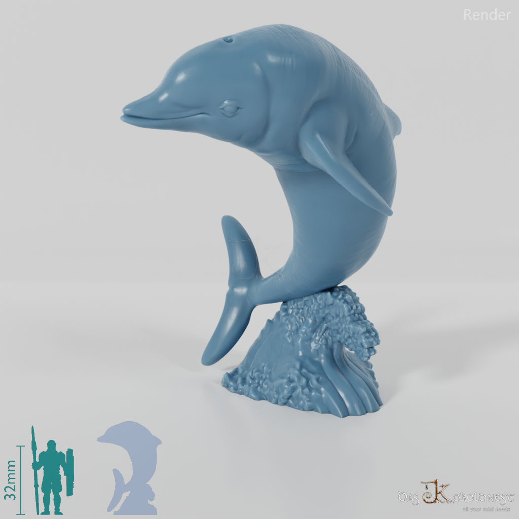Dolphin - Dolphin 04