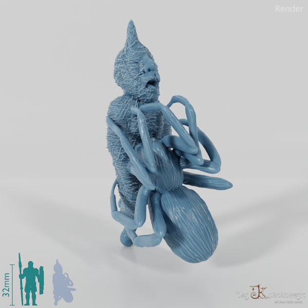 Eingesponnener Zwerg mit Riesenspinne