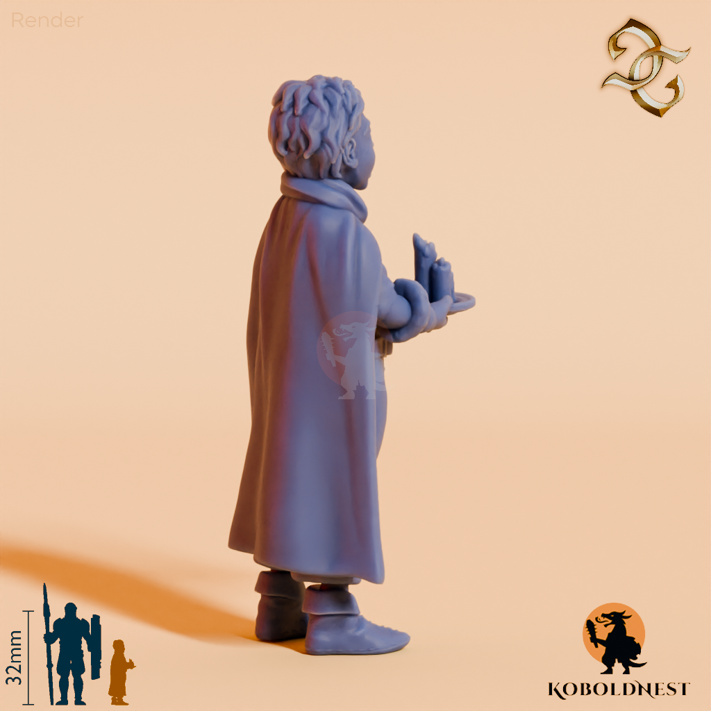 Edward-Frost-Winter-Singer_render_80pitch_120deg.png