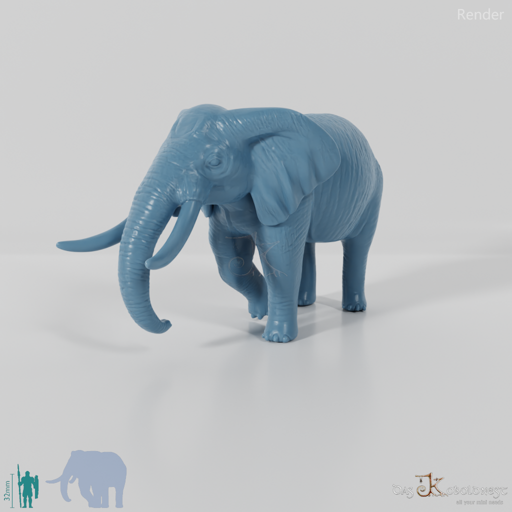 Elefant - Afrikanischer Elefant 02