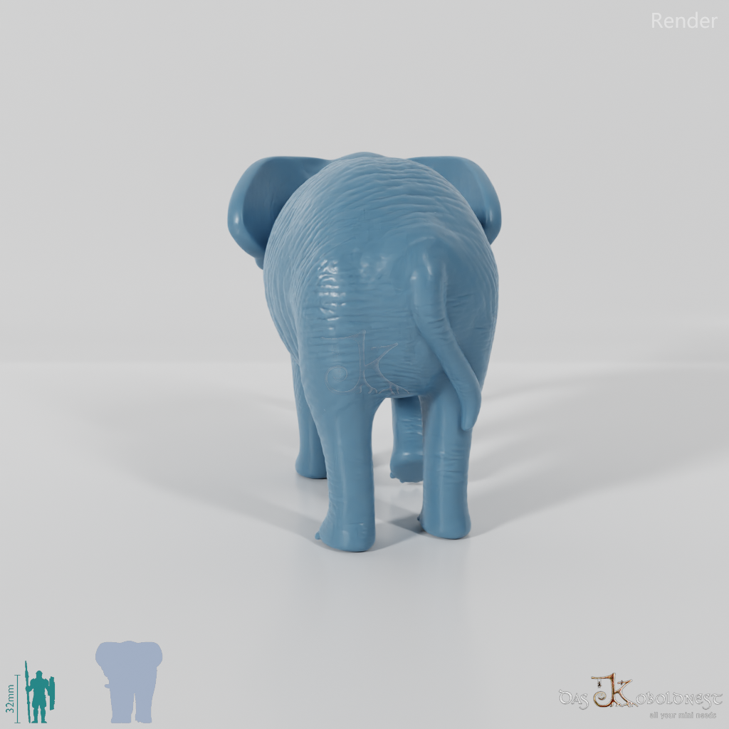 Elefant - Afrikanischer Elefant 02