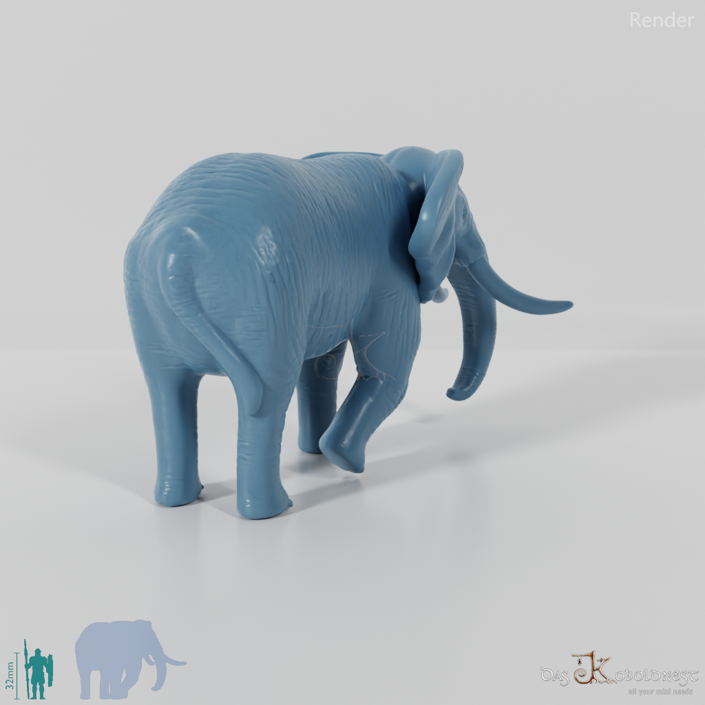 Elephant - African Elephant 02