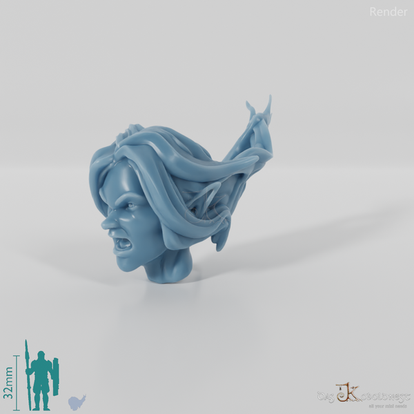 Woman's head - elf with long flowing hair (angry)