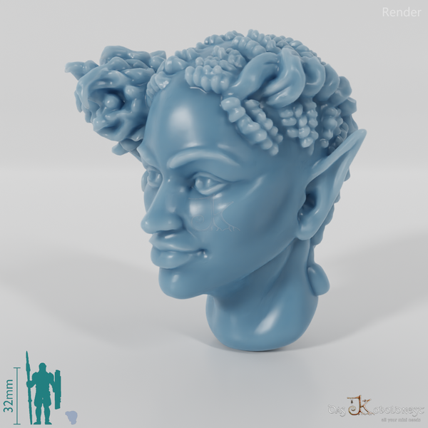 Woman's Head - Elfin Asymmetrical Braided