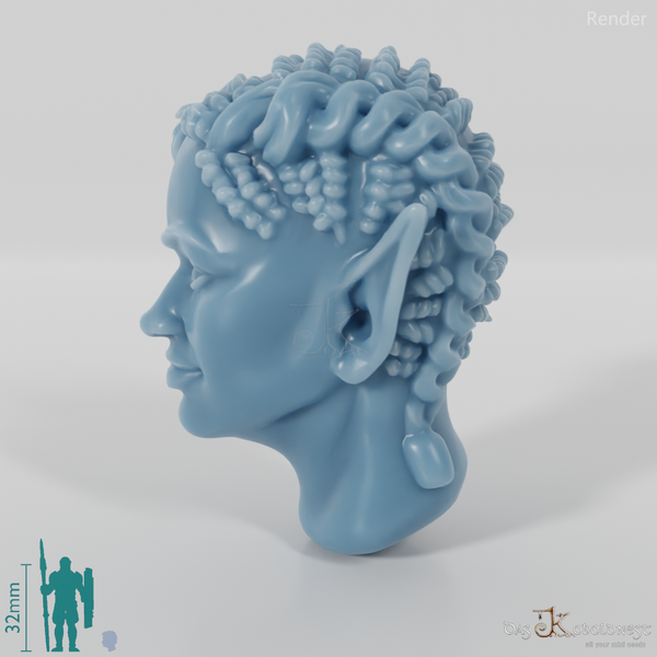 Woman's Head - Elfin Asymmetrical Braided