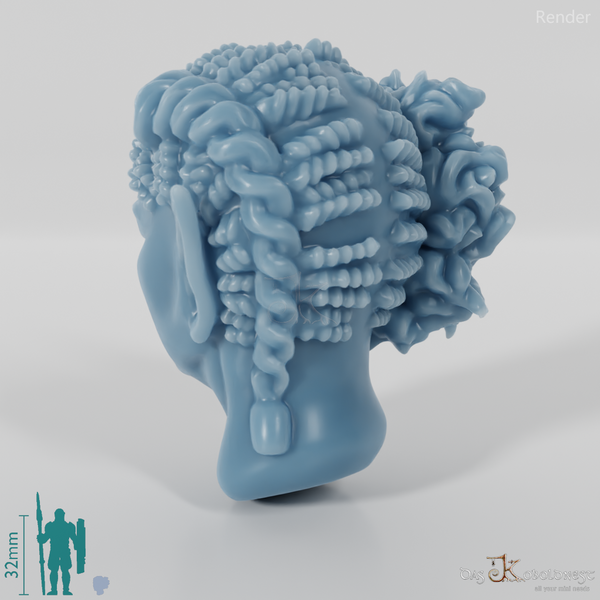 Woman's Head - Elfin Asymmetrical Braided