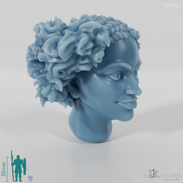 Woman's Head - Elfin Asymmetrical Braided