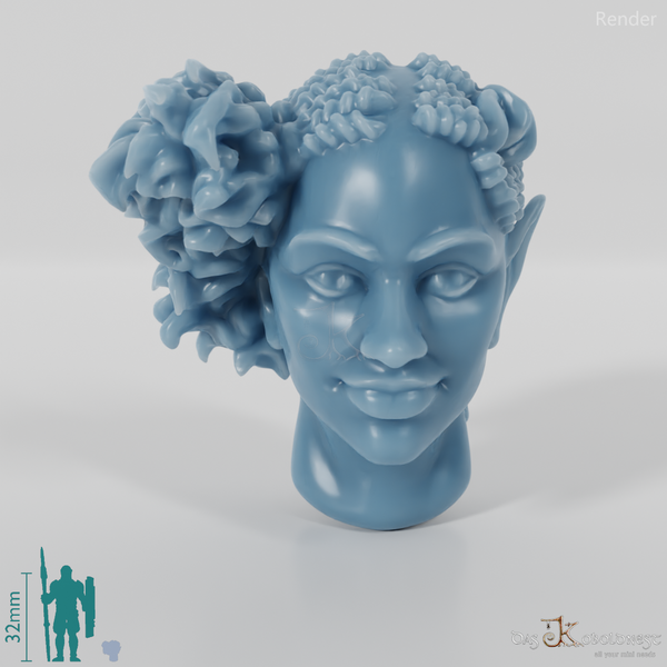 Woman's Head - Elfin Asymmetrical Braided